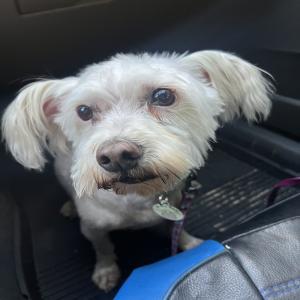 LexsiM Profile Image