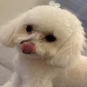 LBCards Profile Image