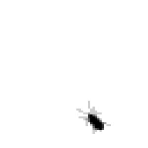 Sly Profile Image