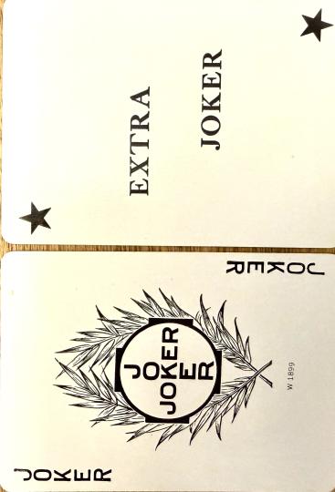 Gypsy Witch Fortune Telling Playing Cards Blue Gallery Photo 2