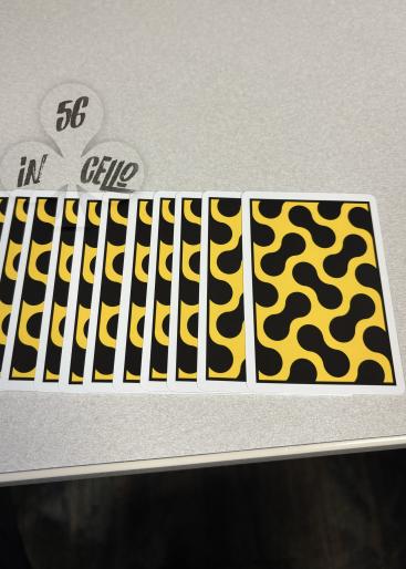Cheetah Gallery Photo 1