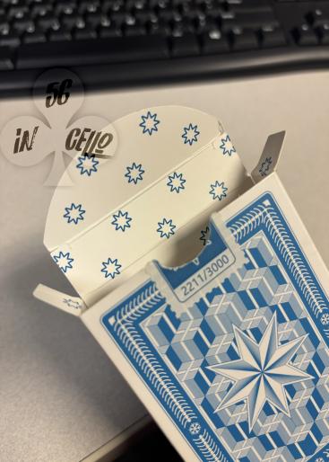 Winter Star (Blue) Gallery Photo 1