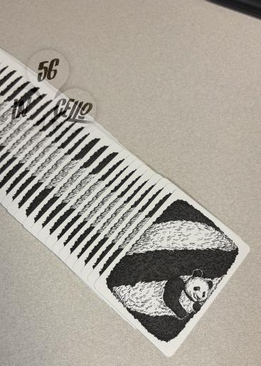 Panda 52 Gallery Photo 2