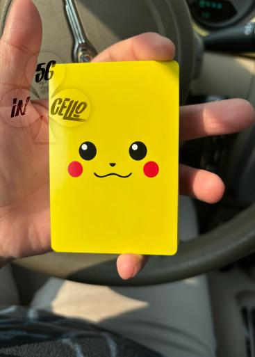 Pokémon Pal City Gallery Photo 1