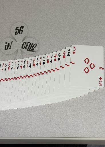 Roadster Gallery Photo 2