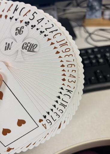 The Greytest Gallery Photo 3