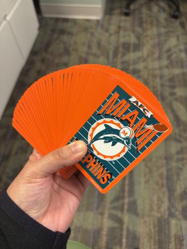 Miami Dolphins Gallery Photo 1