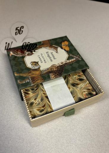 Animal Kingdom Gallery Photo 2