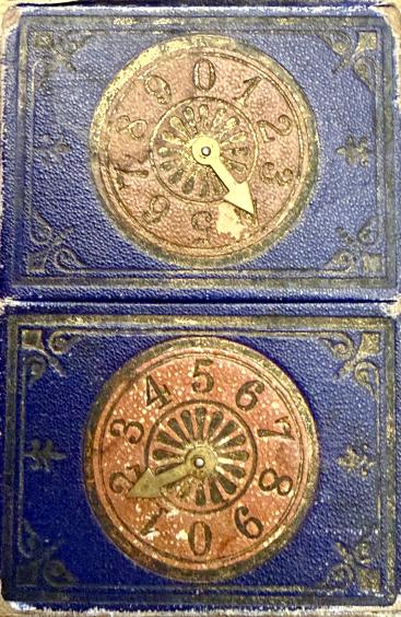 Harlequin Transformation Gallery Photo 1