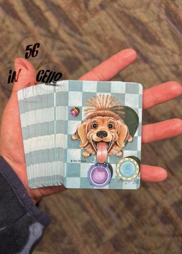 Dogs Gallery Photo 1