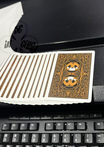 Tiger Gallery Photo 1