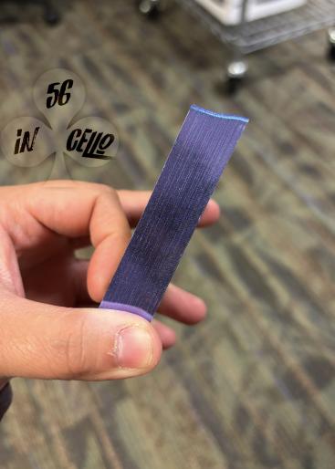 The Odd Fellows From The Sanctuary (Sister Merry Gorda) Gallery Photo 1