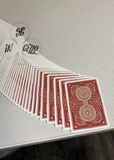 Dazzling Deuces [LTD700] Gallery Photo 3