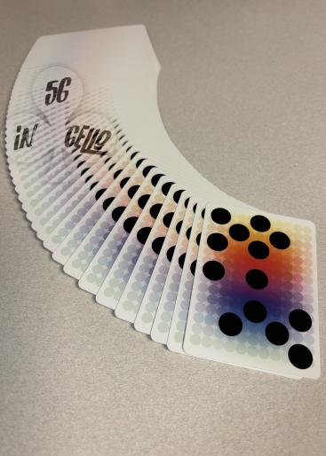 Spinch- Spots Gallery Photo 1