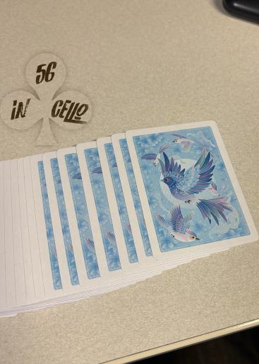 Bird Gallery Photo 1