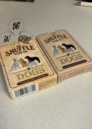 Dogs Gallery Photo 2