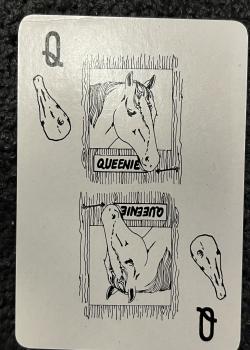 Q clubs Image
