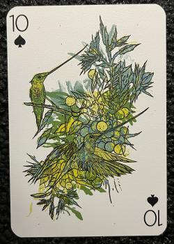 10 spades Image
