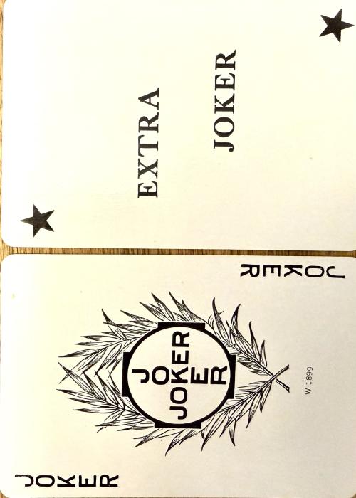 Gypsy Witch Fortune Telling Playing Cards Blue - Joker