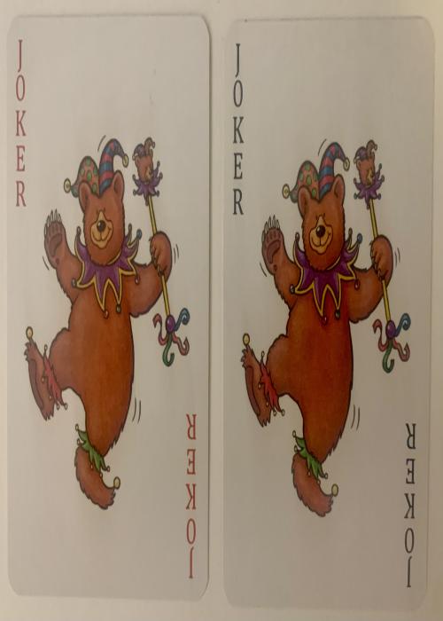 Bear Wise, Bear Safety Tips & Facts - Joker