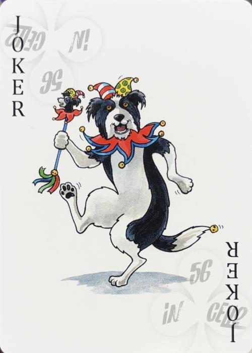 Dog-Ology [Sea To Sky Photography] - Joker