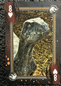 8 hearts Image