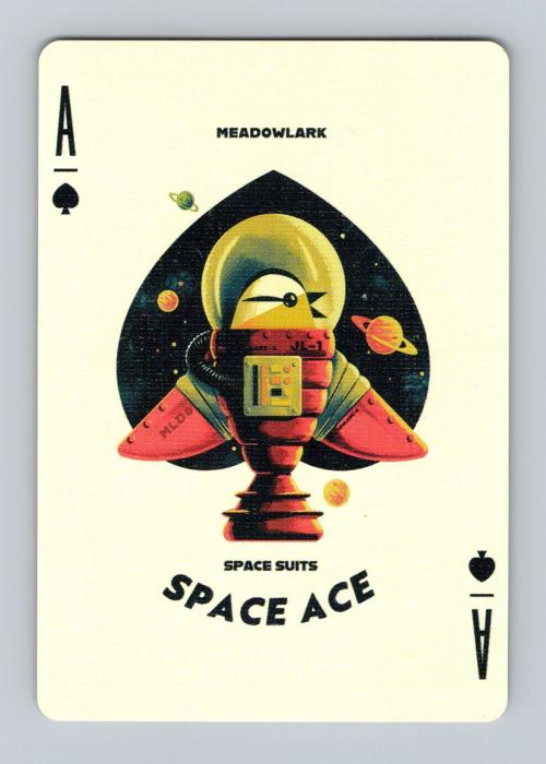 Space Suits - Astro (Limited) - Ace of Spades