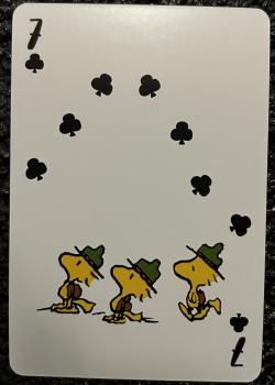 7 clubs Image