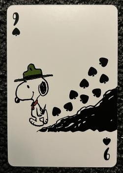 9 spades Image