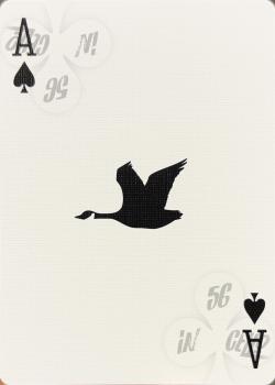 A spades Image
