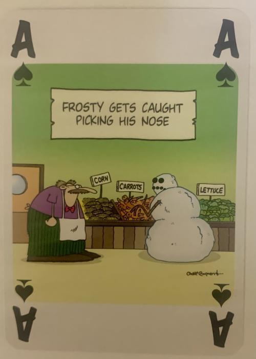 Tundra Blue - Ace of Spades