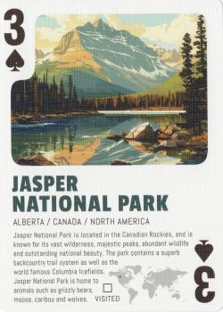 3 spades Image