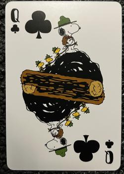 Q clubs Image