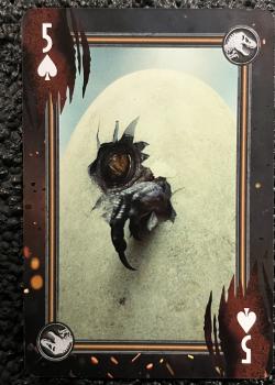 5 spades Image