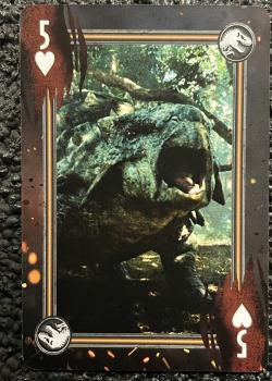 5 hearts Image
