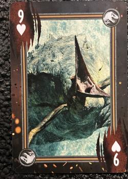 9 hearts Image
