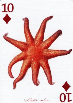 10 diamonds Image