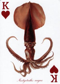 K hearts Image