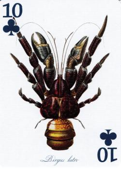 10 clubs Image