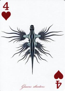 4 hearts Image