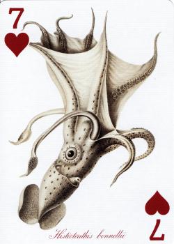 7 hearts Image