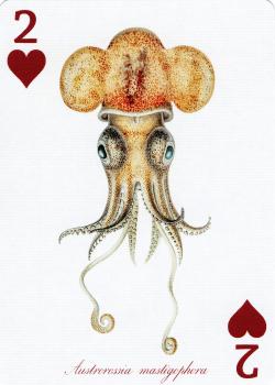 2 hearts Image