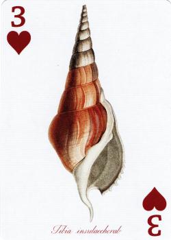 3 hearts Image