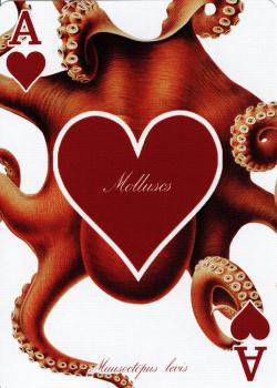A hearts Image