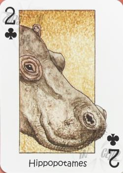 2 clubs Image