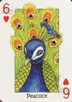 6 hearts Image