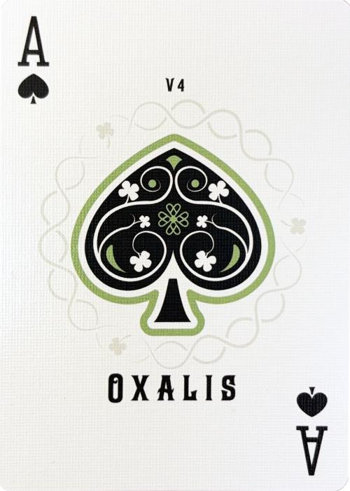 Oxalis V4 Standard - Ace of Spades