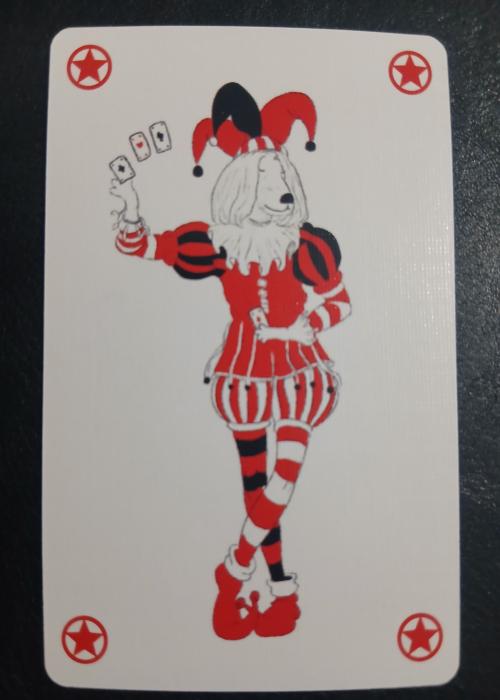 Vlaams Oogfonds / Flemish Eye Fund - Joker
