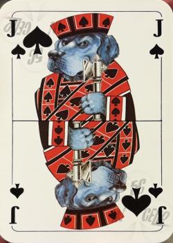 J spades Image