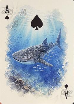 A spades Image